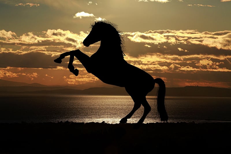 Triumph over adversity